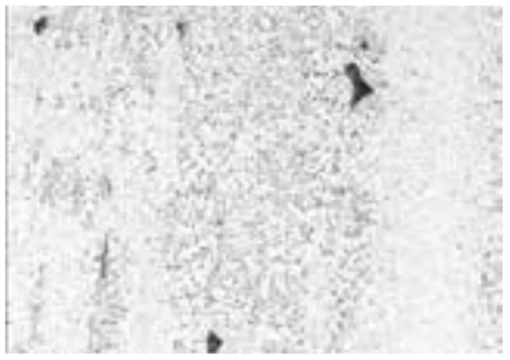 Microstructure of conventional high-speed steel (Daido)