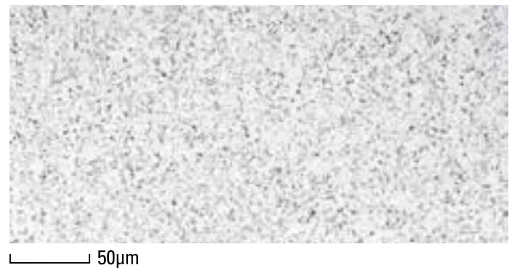 Microstructure of matrix hot work high-speed steel DRM1 in center of 100mm bar