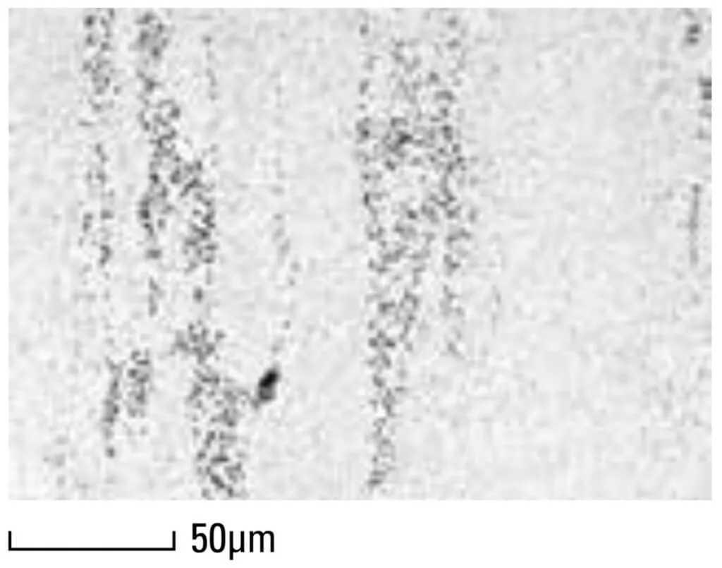 Microstructure of matrix hot work high-speed steel DRM3 in center of 100mm bar